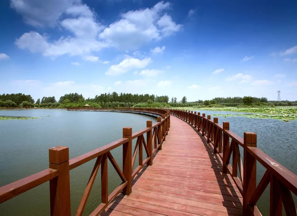 滨河湿地公园——全国最大的城市湿地公园